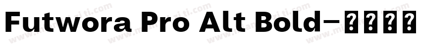Futwora Pro Alt Bold字体转换